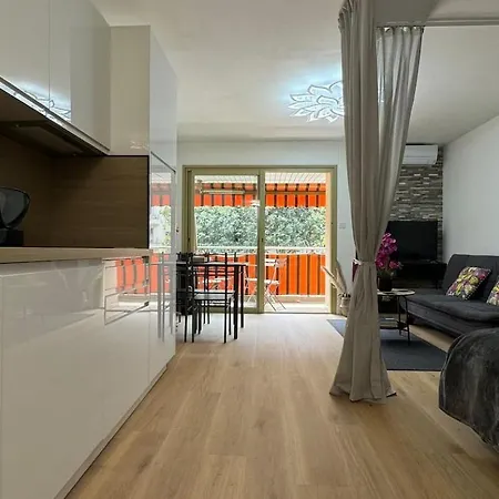 Juan-les-pins Clim-plage 200m -piscine アパート アンティーブ
