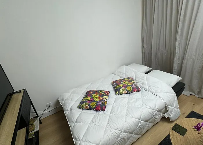 Juan-les-pins Clim-plage 200m -piscine Antibes